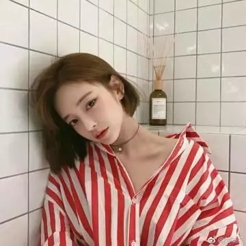 心尘情缘